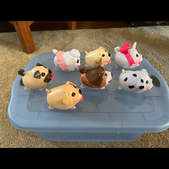 Chubby puppies - Picture 2 of 4